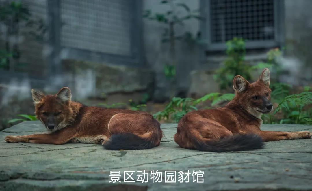 微信圖片_20210218101804.jpg